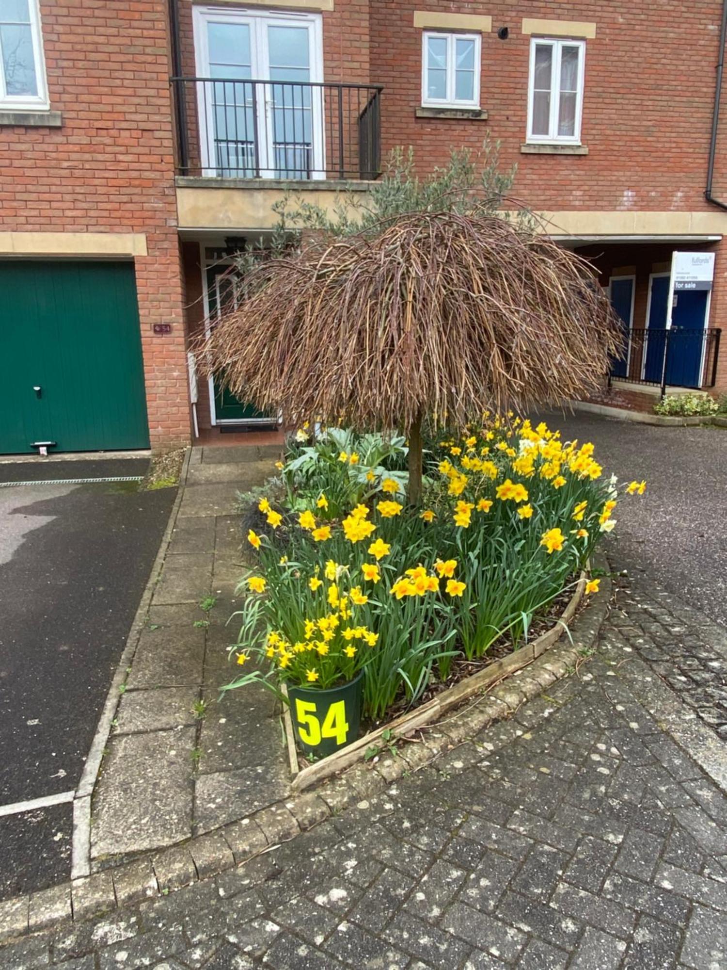 Gras Lawn B&B Exeter Bagian luar foto