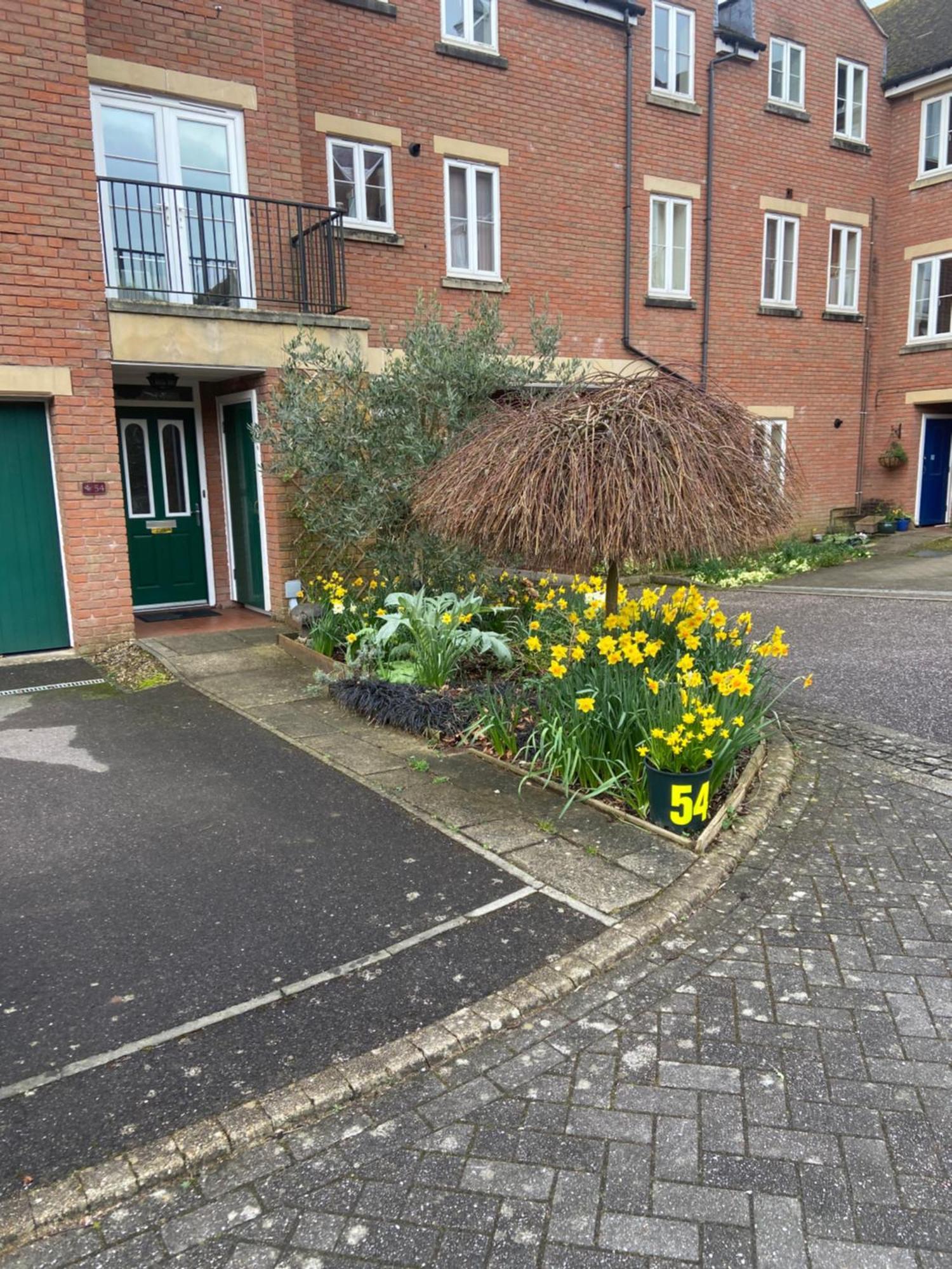 Gras Lawn B&B Exeter Bagian luar foto