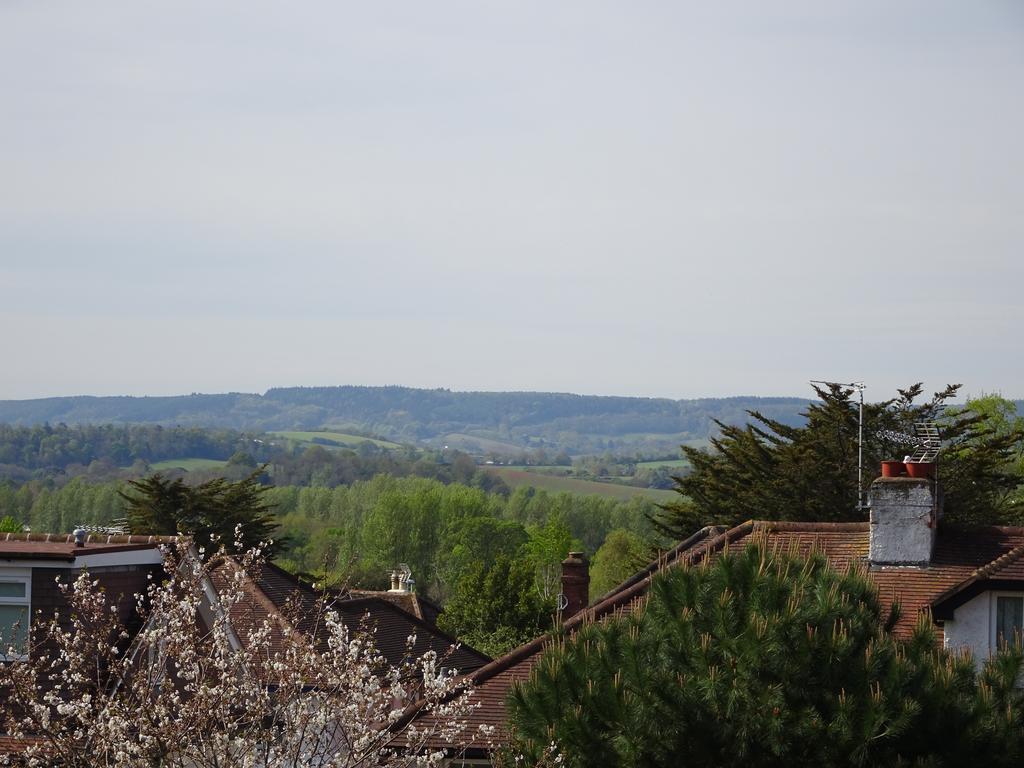 Gras Lawn B&B Exeter Bagian luar foto