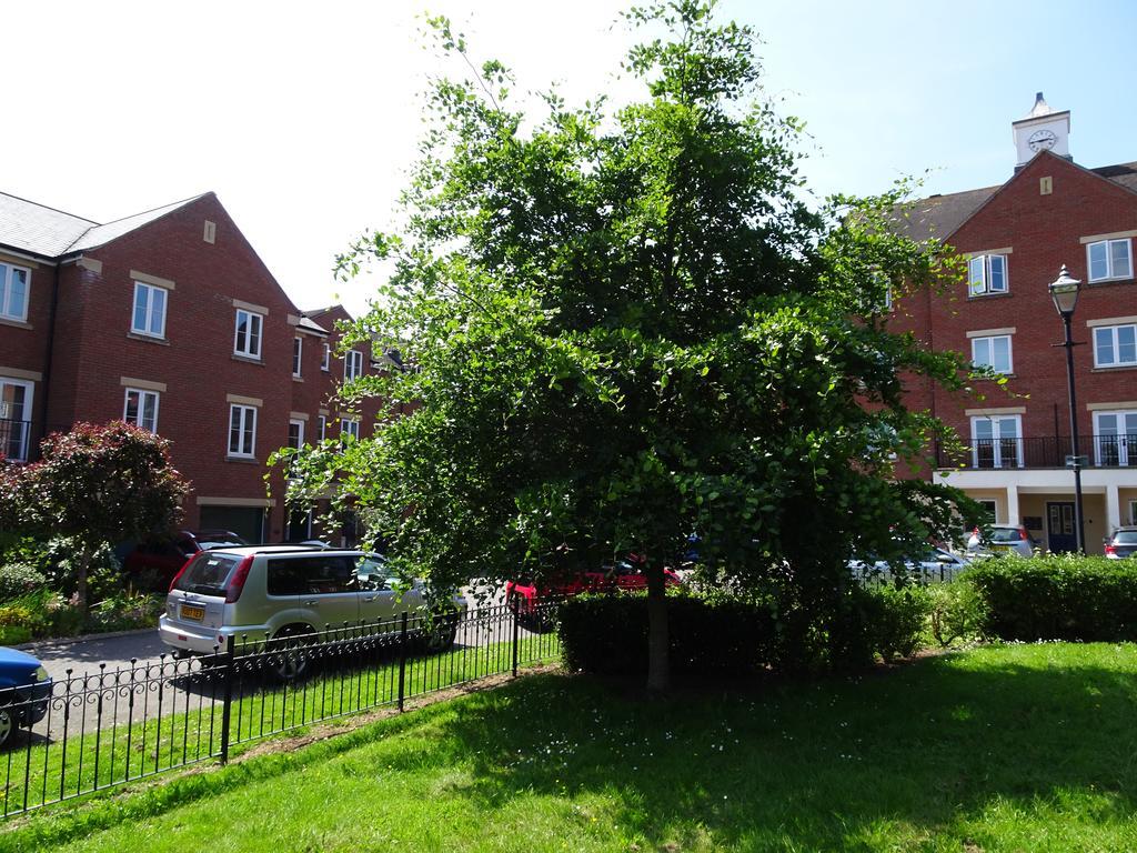 Gras Lawn B&B Exeter Bagian luar foto